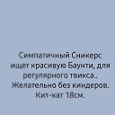 ���� �����)), ������ - ��������� 30 ���� 2024 � ������ ������ ��������