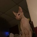 ���� �������, �������� - ��������� 12 ������ 2025 � ������ ������ ��������