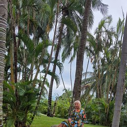 ���� �����, �����������, 66 ��� - ��������� 31 ������ 2026