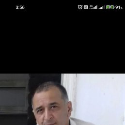 ���� �����, ���������, 54 ���� - ��������� 5 ������ 2024