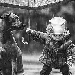 ��� ��, ���������, 47 ���