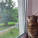 ���� ����, ��������� - ��������� 3 ���� 2026 � ������ ������ ��������