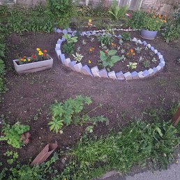 ���� Revaz, �����, 41 ��� - ��������� 23 ������� 2025