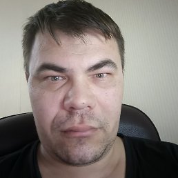 ���������, ���������, 41 ���