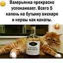 ���� �����, ������ ����� - ��������� 22 ����� 2026 � ������ ������ ��������
