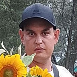 ���������, ����������, 31 ���