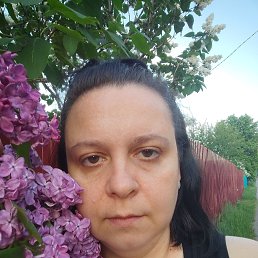 , 41, 