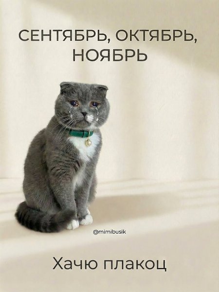 � � ��� ������� - 7