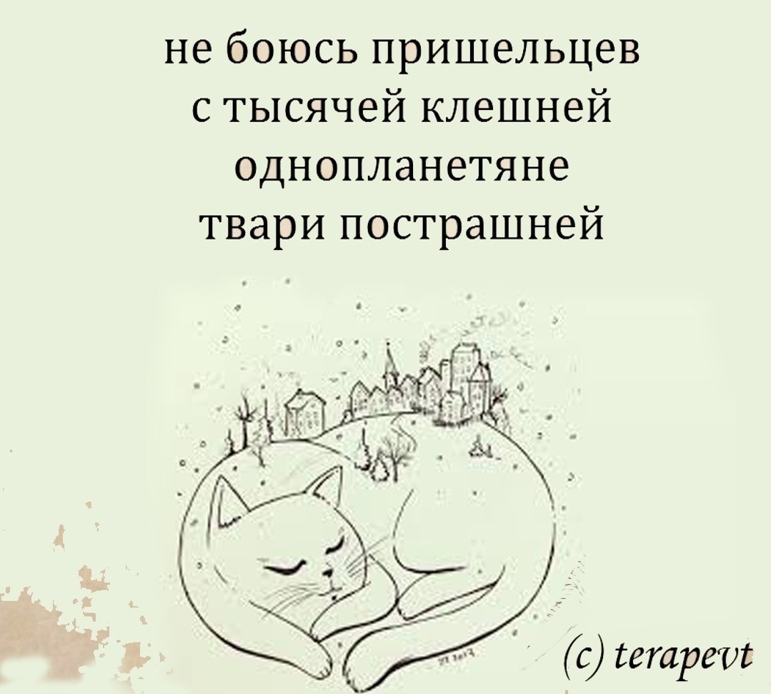 ������ - 6