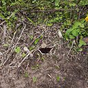 ���� ������, ���������� �����, 51 ��� - ��������� 14 ����� 2026