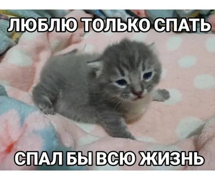 ☆������ �����☆ - 27 ������� 2025 � 12:20