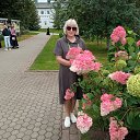 ���� �������, �������, 62 ���� - ��������� 30 ���� 2024 � ������ ���� ����������