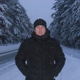 ����, 41 ���, ������������