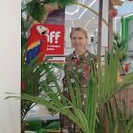 ���� ��������, ������, 61 ��� - ��������� 27 ������� 2023