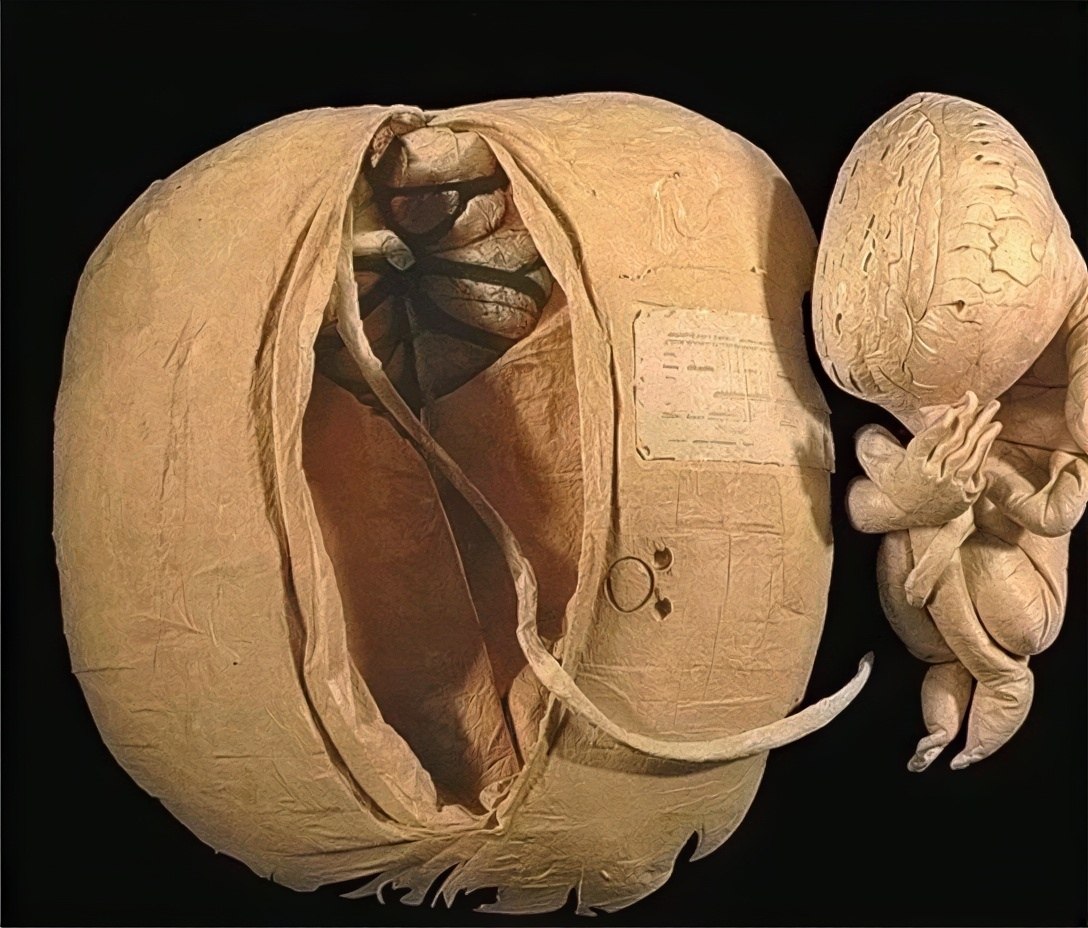 XVIII ���. ���� � ����� ������� �������. ������� �� �������, ������� �� ������ � ������� �� ����� ... - 3