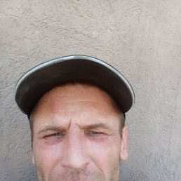 Volf, 39, 