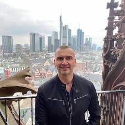 ������, 41 ���, ������������