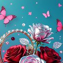 ���� Mohammed, ���� - ��������� 23 ������ 2026 � ������ ������ ��������