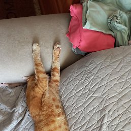 ���� ��������, ������, 62 ���� - ��������� 30 ���� 2025