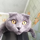 ���� ����, ����, 33 ���� - ��������� 12 ������ 2025 � ������ ������ ��������