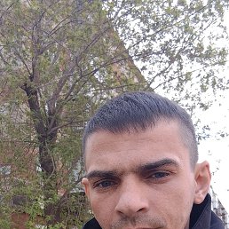 , 29, 