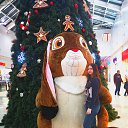 ���� ������, ������, 26 ��� - ��������� 22 ������� 2025