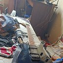  Garisson,  -  20  2025   Ddd