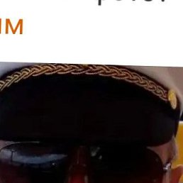 , 61, 