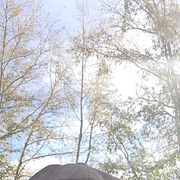 ���������, 52 ����, ���������