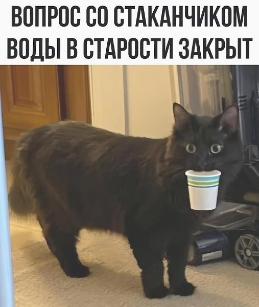 ��� ���� - 29 ��� 2026 � 23:30