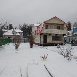 ���� ϸ��, �������, 56 ��� - ��������� 29 ������ 2024