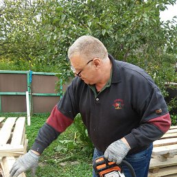 ���� ����, ��������, 67 ��� - ��������� 11 ���� 2024