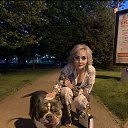 ���� �����, ���������, 42 ���� - ��������� 24 ��� 2024 � ������ ���� ����������