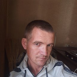 , 37, 