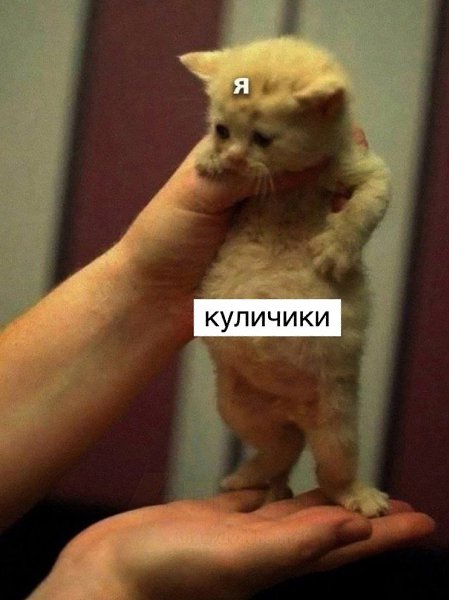   :