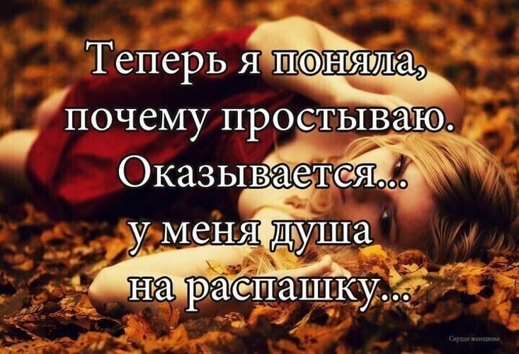   ! - 19  2025  12:41