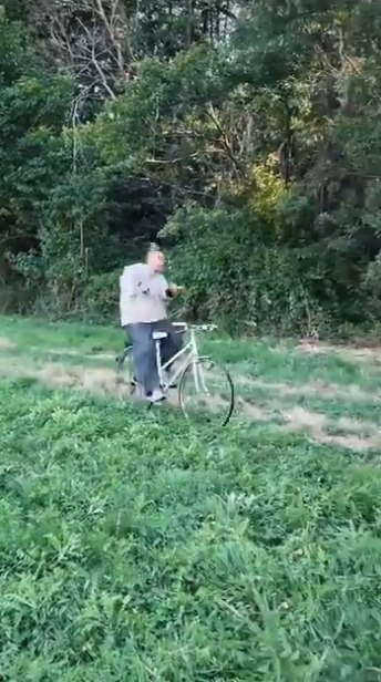 ������ ����������������� ��������� - 2