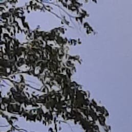 ������, ������