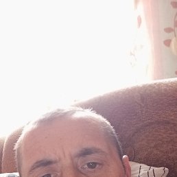 ������, 38 ���, ������