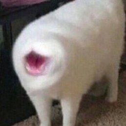 ������, �����-���������, 19 ���