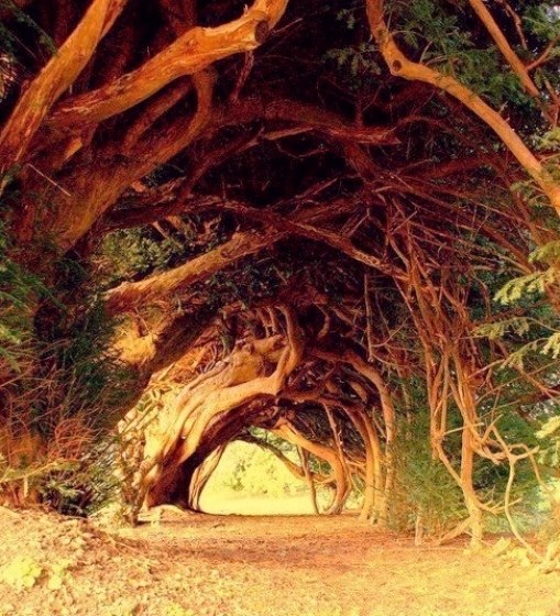 1000-������ ��c� � �a�a��o� ����c�, e��������a���