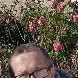 �������, ������, 53 ����