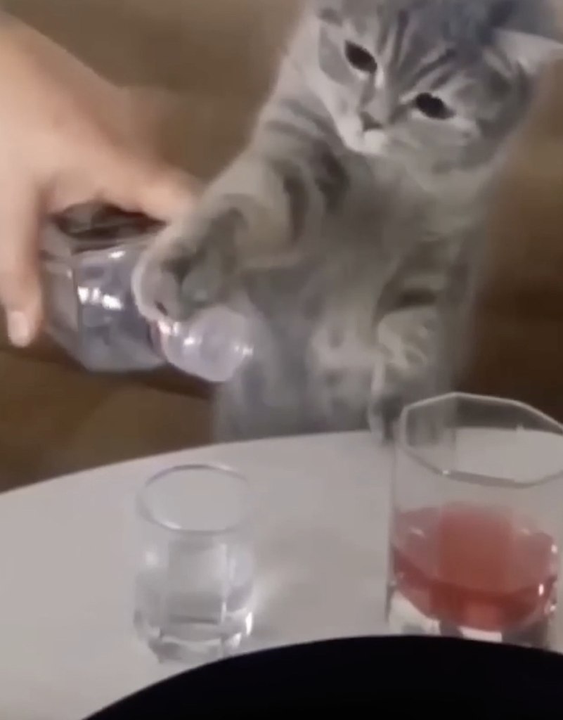 ����� ������������ - 2