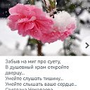 ���� ������, ������� - ��������� 11 ������ 2023 � ������ ���� ����������