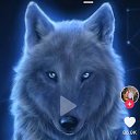 ���� �������, �����, 56 ��� - ��������� 15 ����� 2024 � ������ ���� ����������