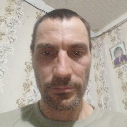 ����, �������, 44 ����