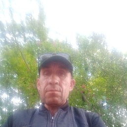 , 45, 