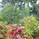 ���� �����, ����, 58 ��� - ��������� 1 ������ 2026 � ������ ���� ����������