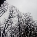 ���� �����, ���������, 35 ��� - ��������� 31 ������� 2023 � ������ ���� ����������