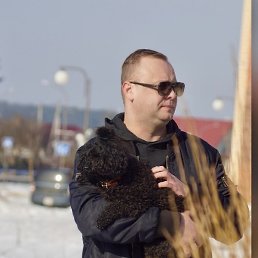 ����, �������, 37 ���